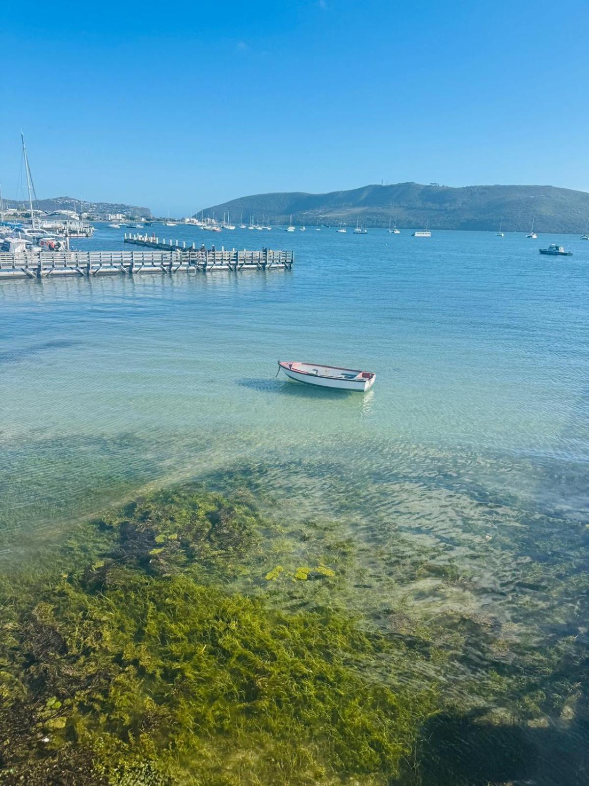 Laguna Grove 14 Knysna Cameră foto